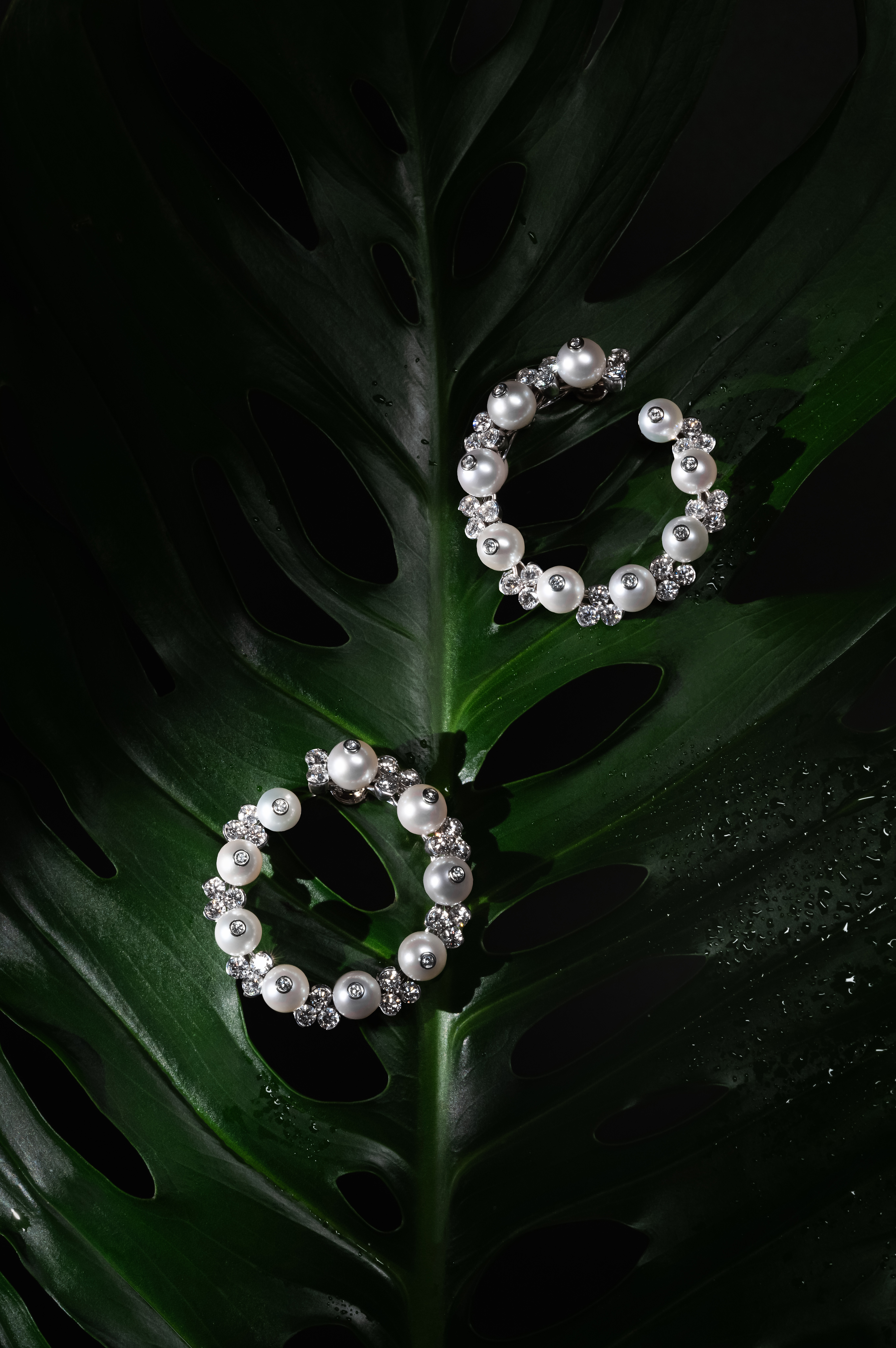 A pair of intricate hoop earrings adorned with pearls and small crystals rest on a large, dark green monstera leaf. The leaf's natural texture and holes are prominently displayed, and droplets of water are visible, adding a fresh touch to the composition.
