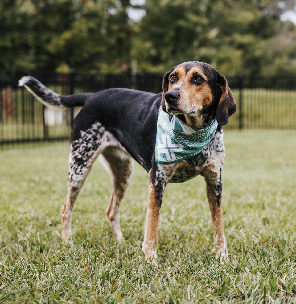 ADPT Set Mk 1 Designed for an active lifestyle