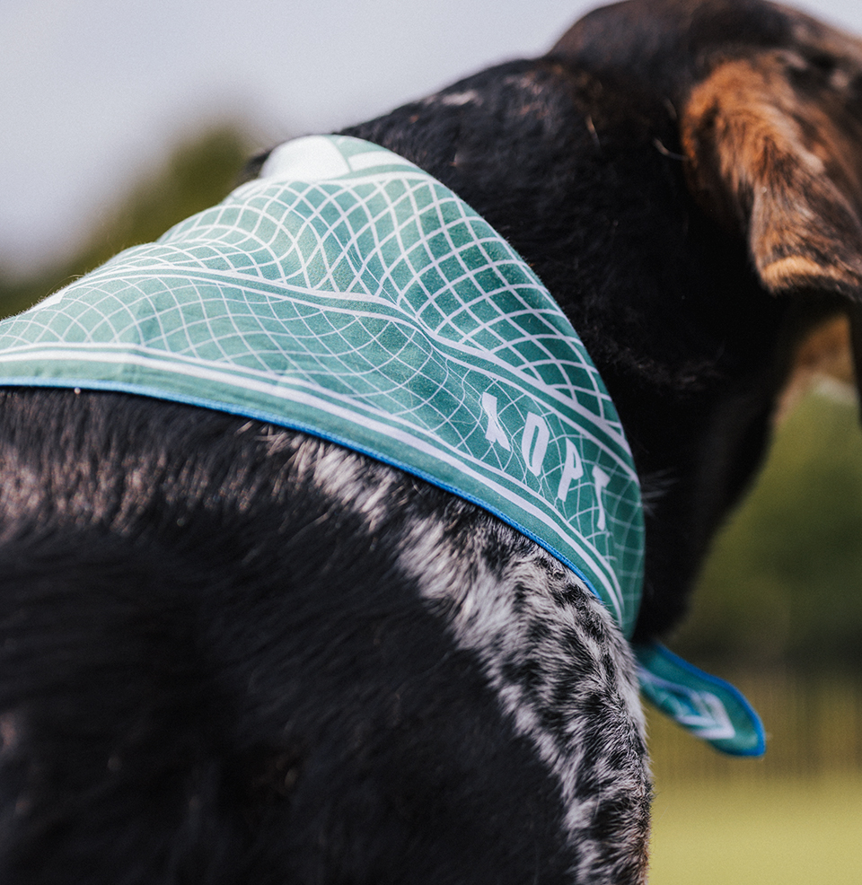 ADPT Set Mk 1 Great for catching sweat!