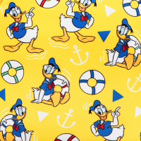 Donald's Anchors Away