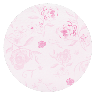 Climbing Roses