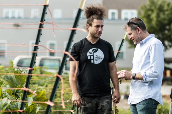 Two men talking by growing plants