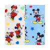 Mickey Mouse Fan Club & Majorly Minnie Mouse