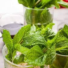 Food, Plant, Green, Ingredient, Fines herbes, Lemon balm, Houseplant, Leaf vegetable, Water, Natural foods
