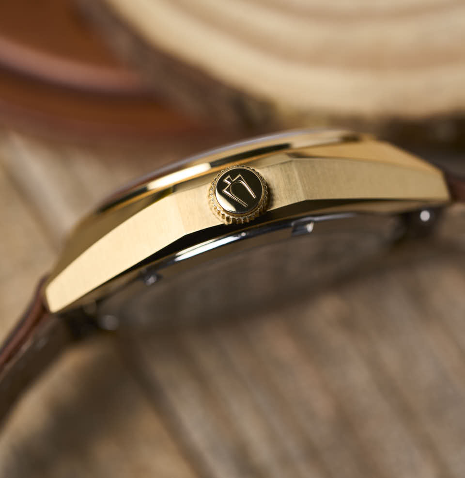 Jet Star Turtle-Shaped Case