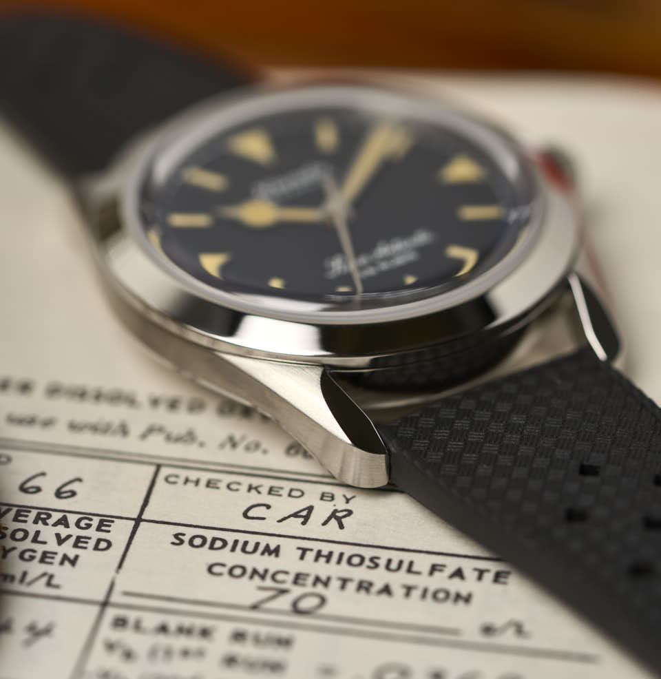 Super Antarctic Profile Shot