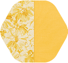 Harvest Floral/Harvest Yellow
