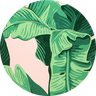 Banana Leaf