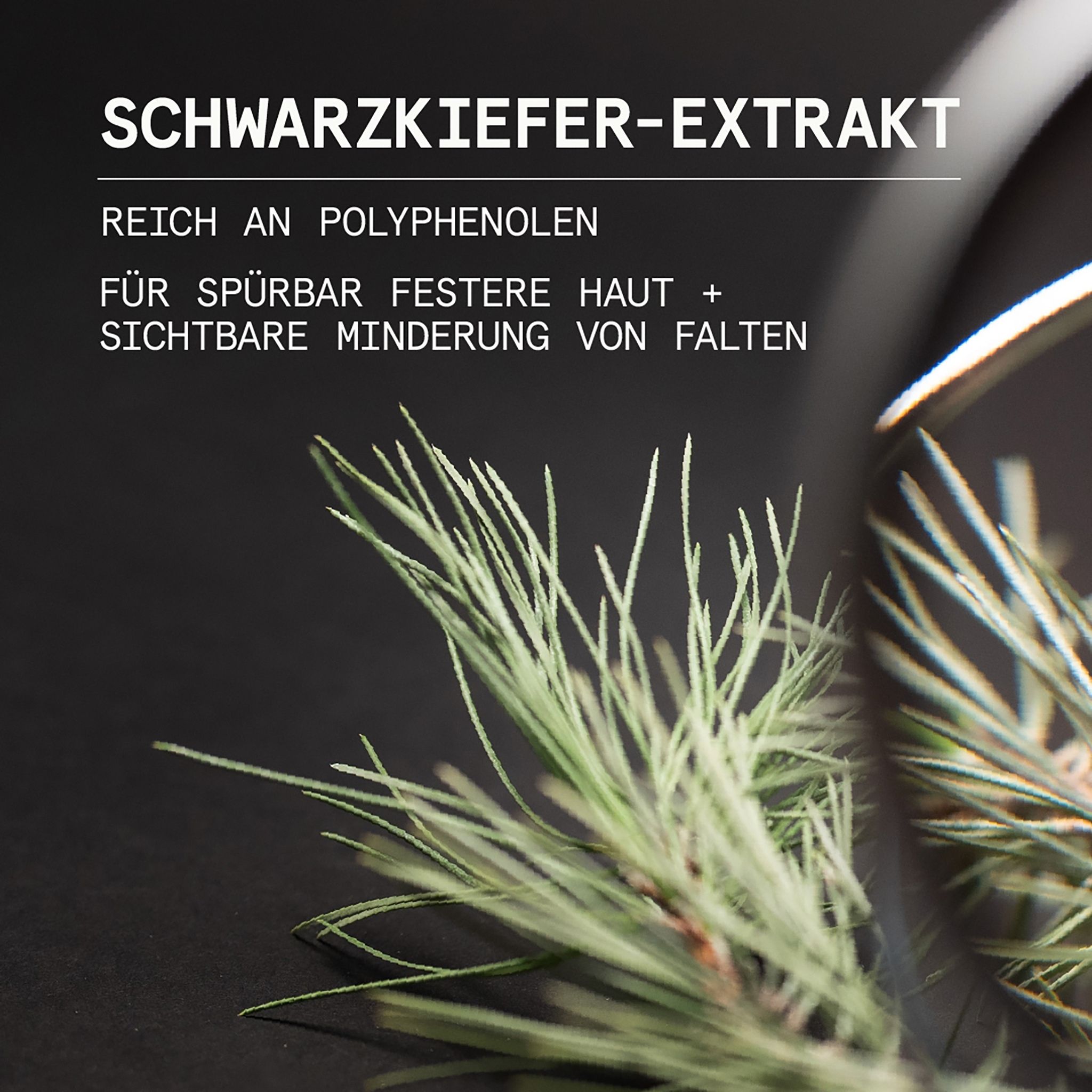 Black Pine 4D Bio-ShapeLift Straffende + Intensiv feuchtigkeitsspendende Creme Thumbnail 4