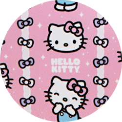 So Much Fun with Hello Kitty