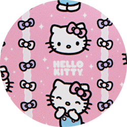 So Much Fun with Hello Kitty