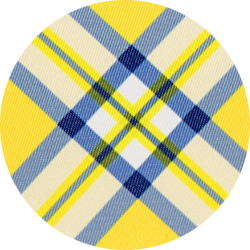 Cher Plaid