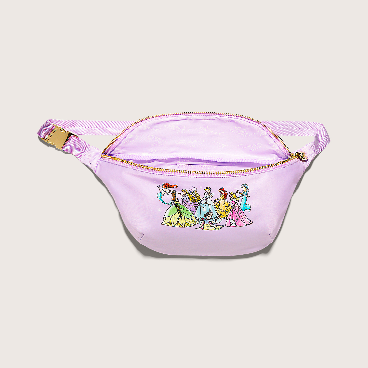 Stoney Clover Lane x Disney deals Princess Infinite Wishes Fanny Pack