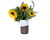 everyday-vase