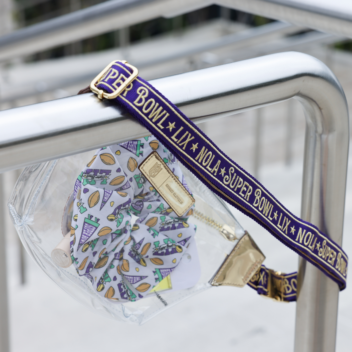 Clear Fanny Pack