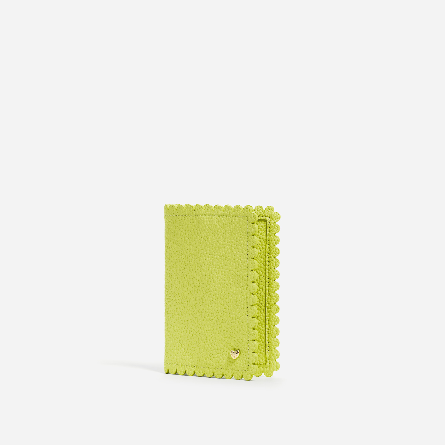 Pittsford Passport Case