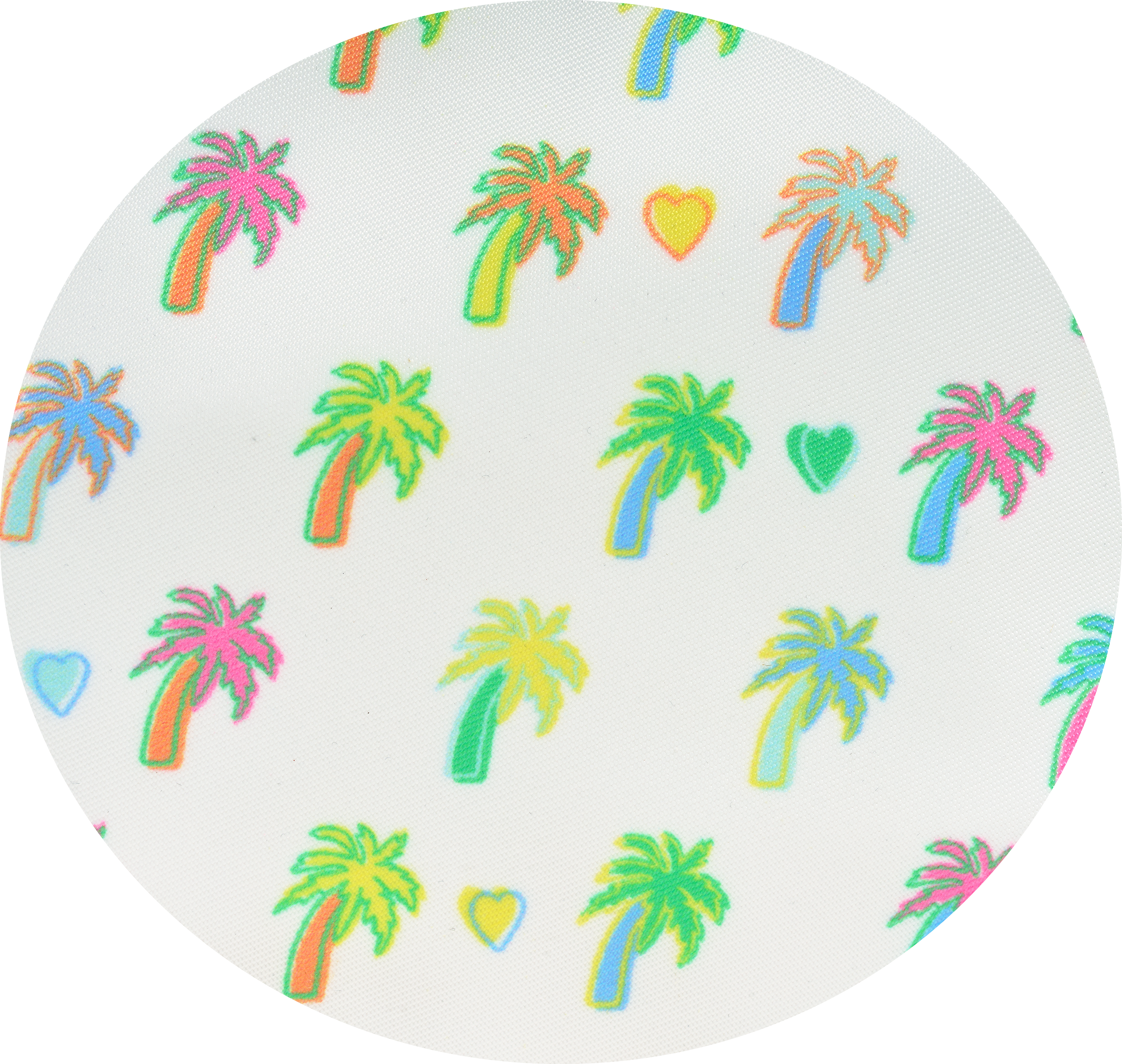 Palm Dreams