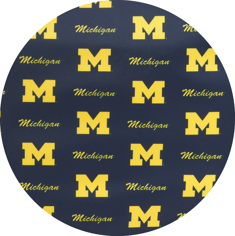 University of Michigan
