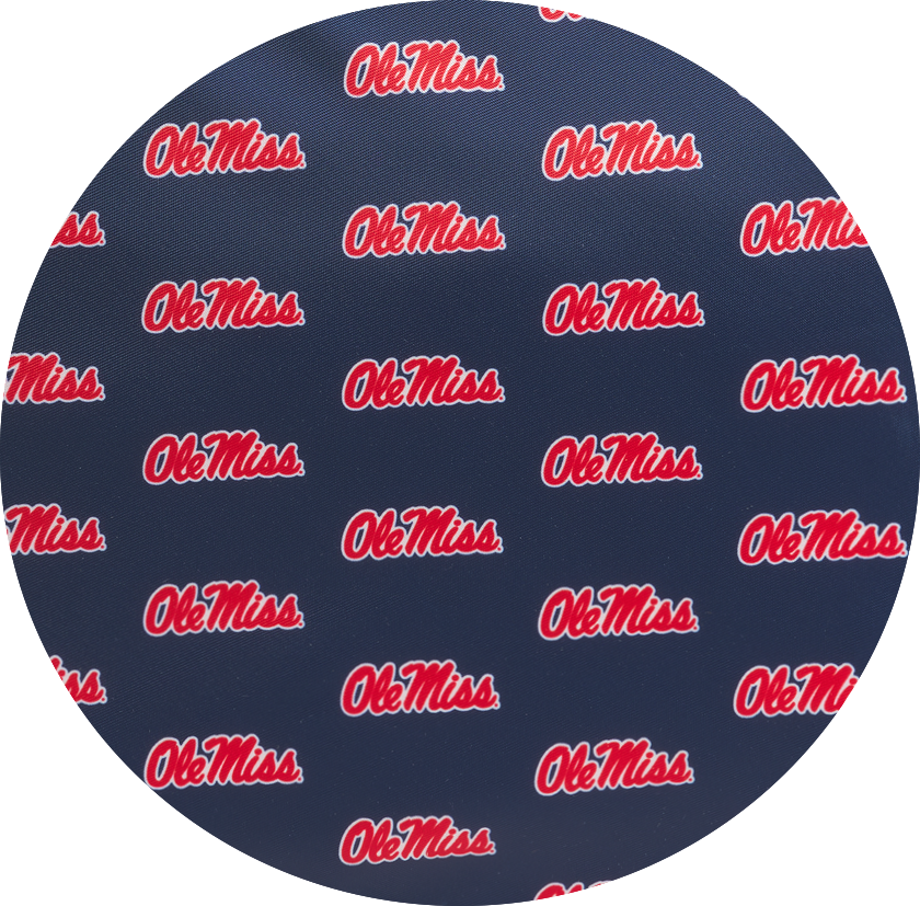 University of Mississippi