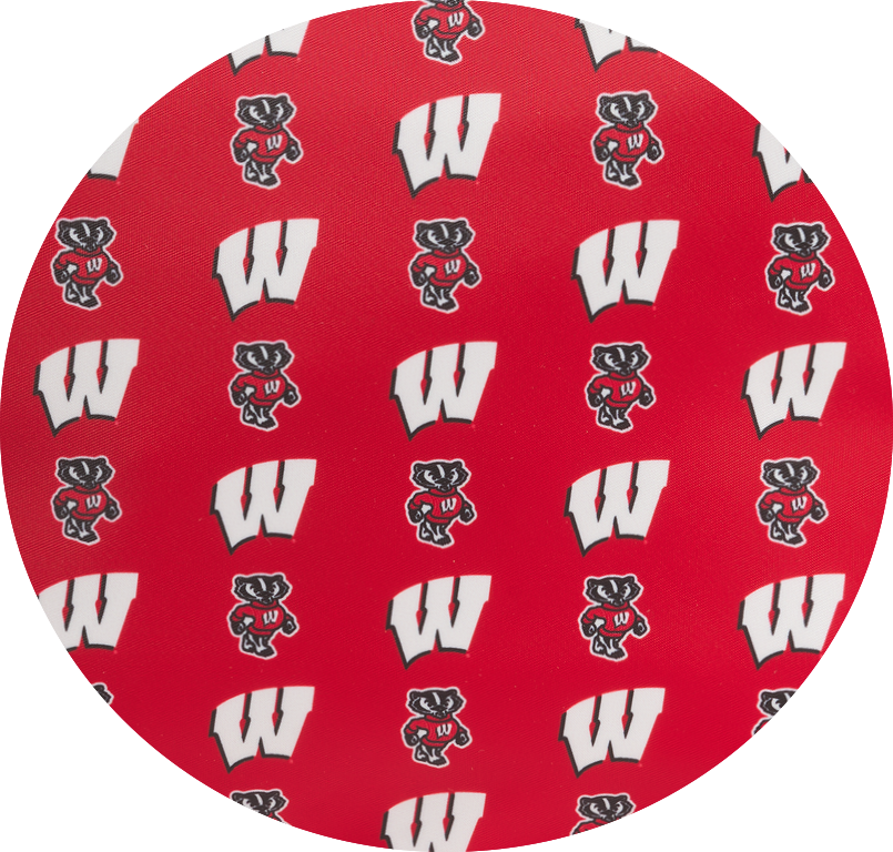 University of Wisconsin