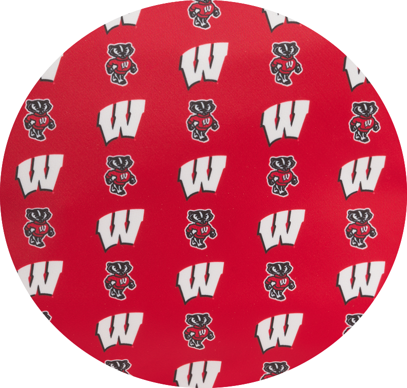 University of Wisconsin
