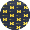 University of Michigan