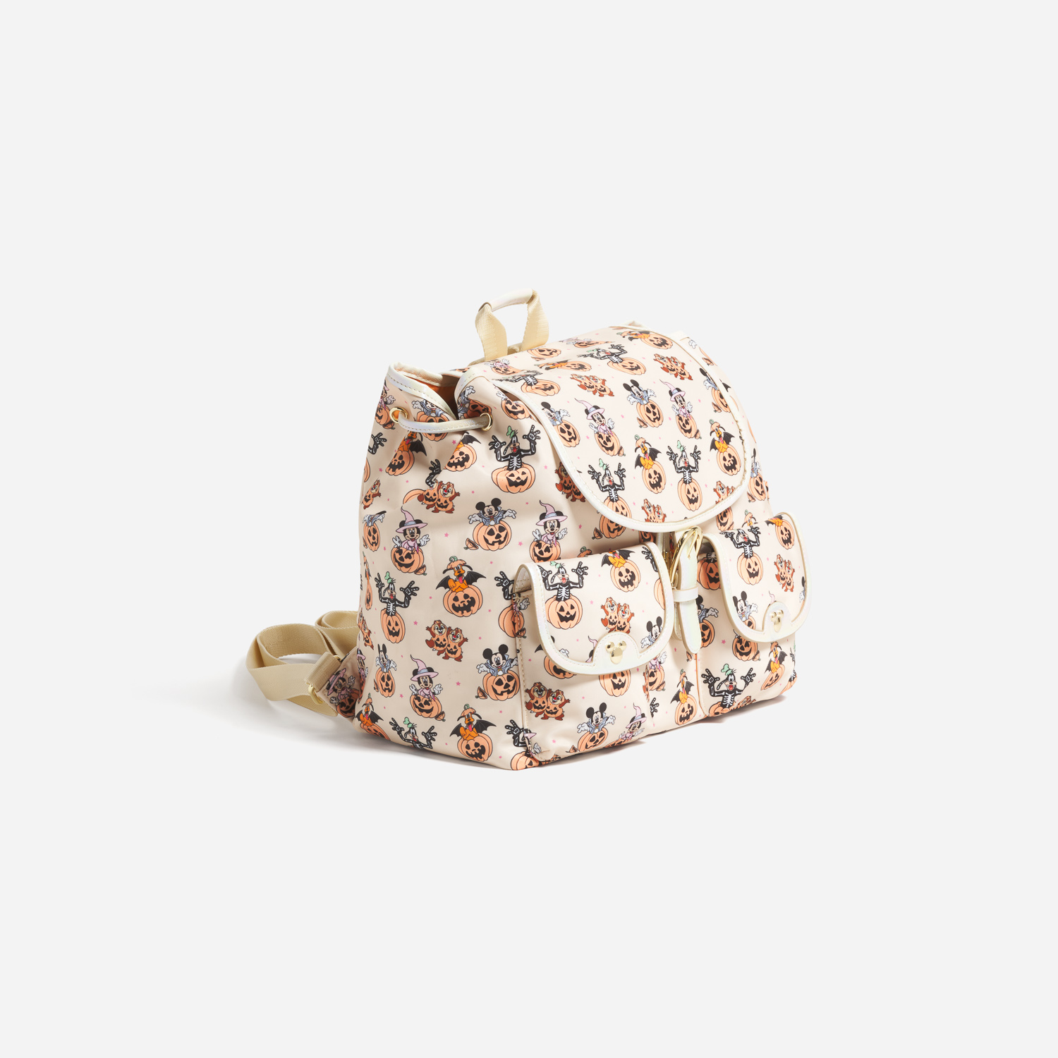 Flap Backpack