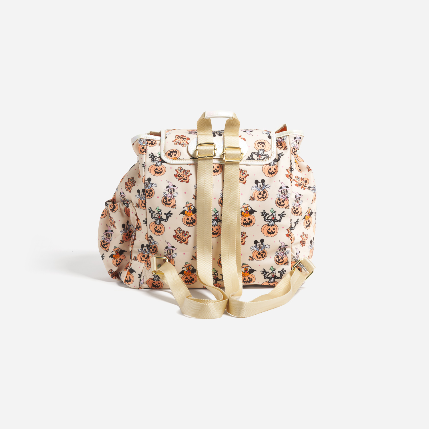 Flap Backpack