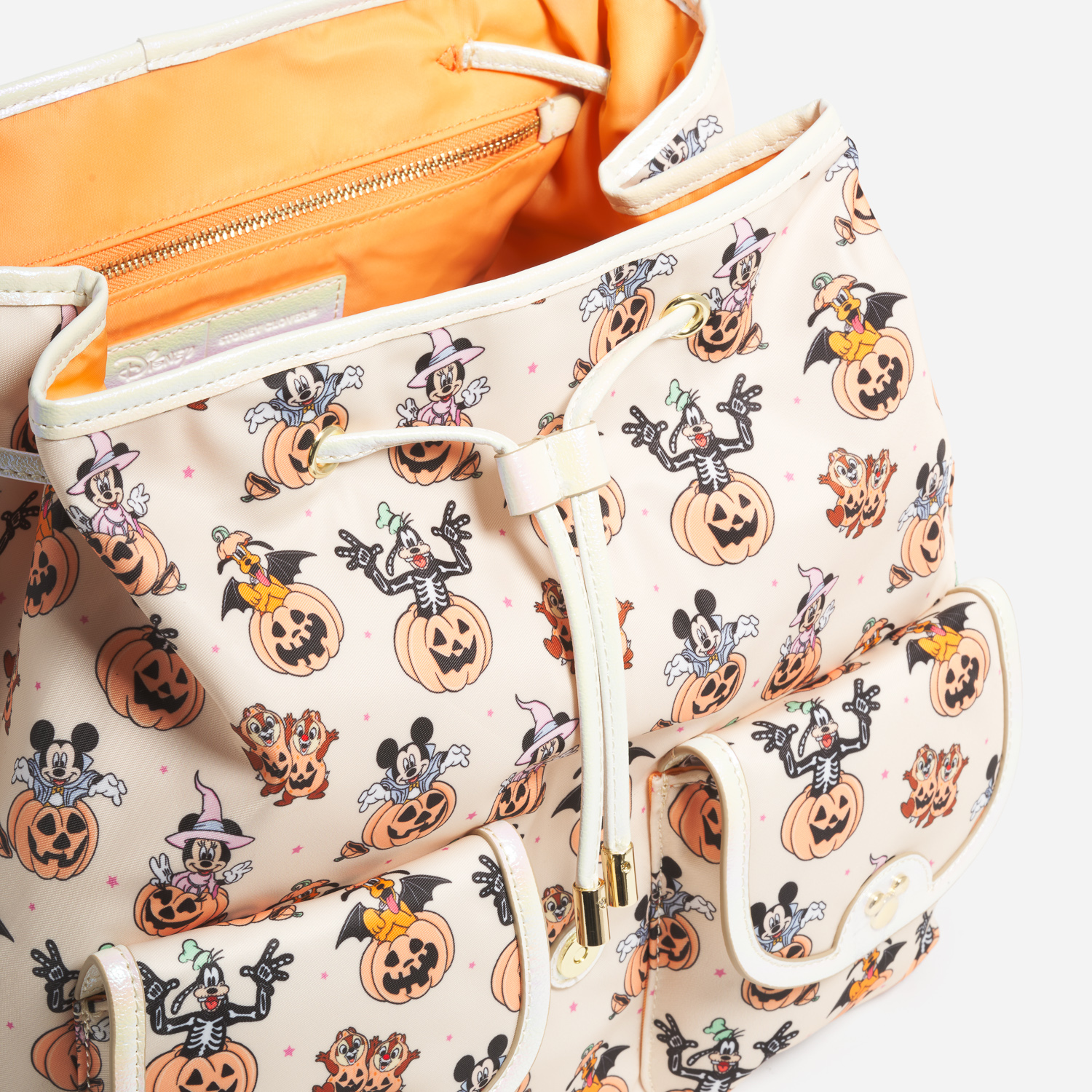 Flap Backpack