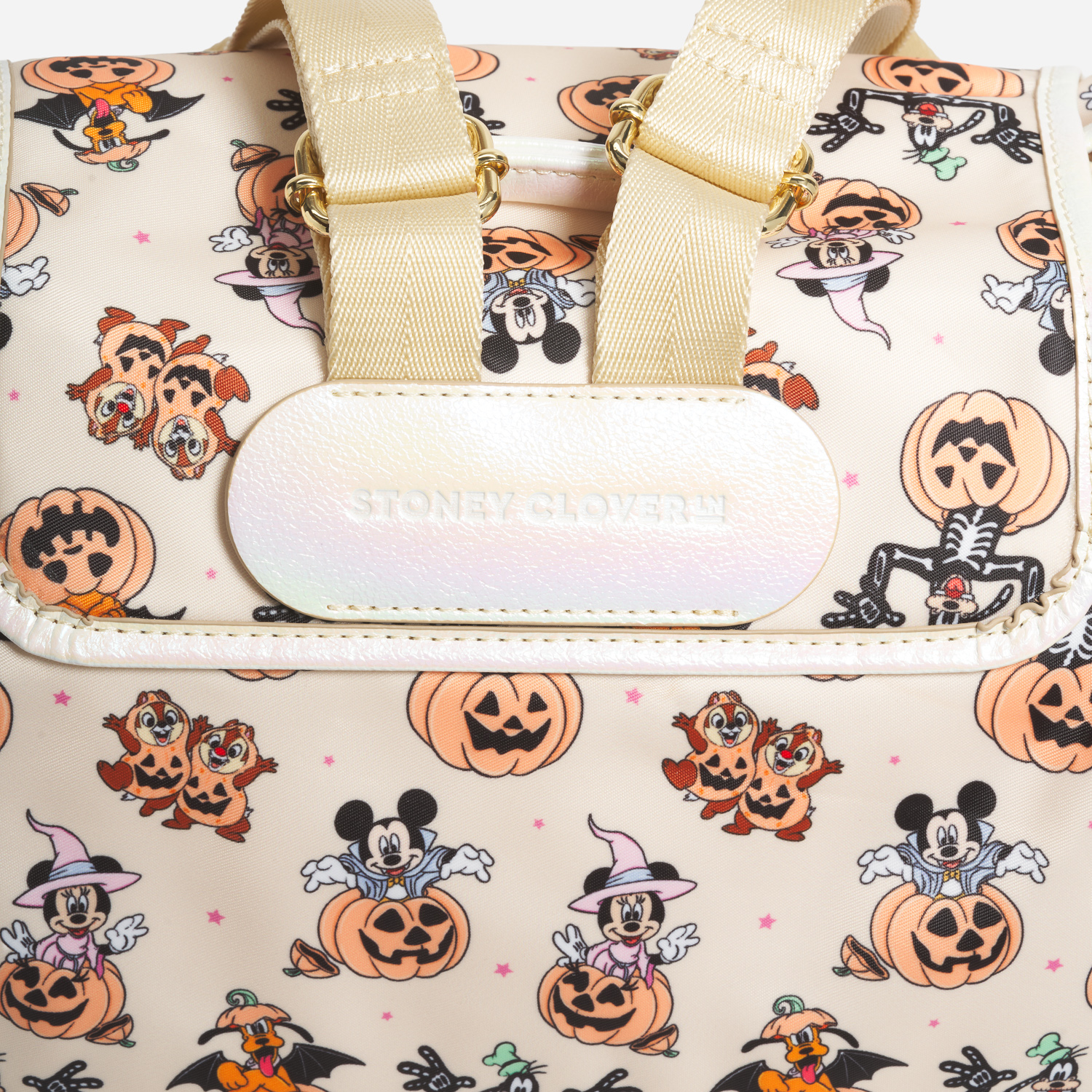 Flap Backpack