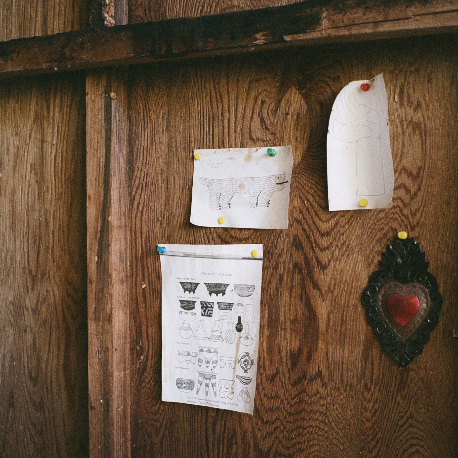 Photography by Mae Taylor.