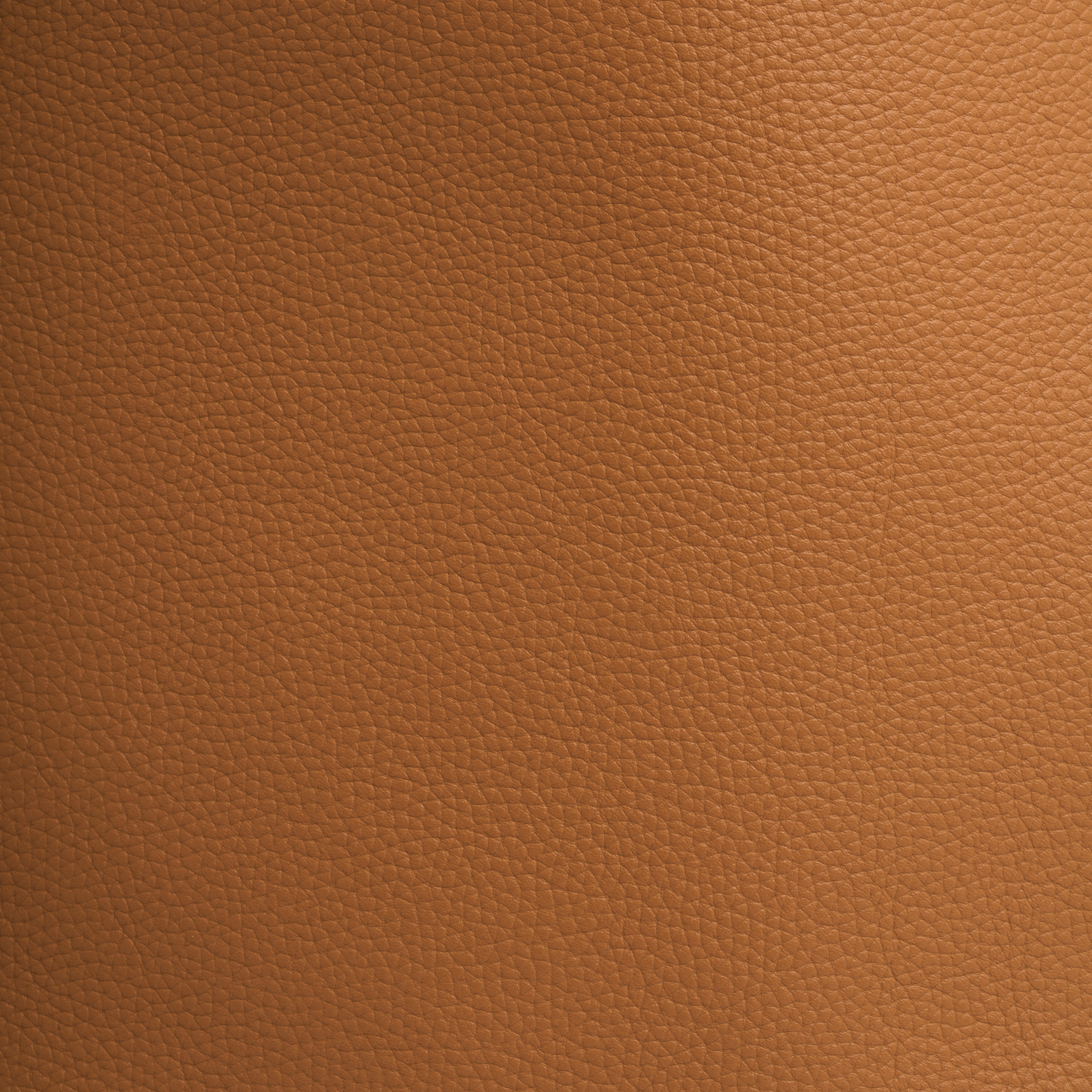 Pittsford Slouchy Shoulder Bag