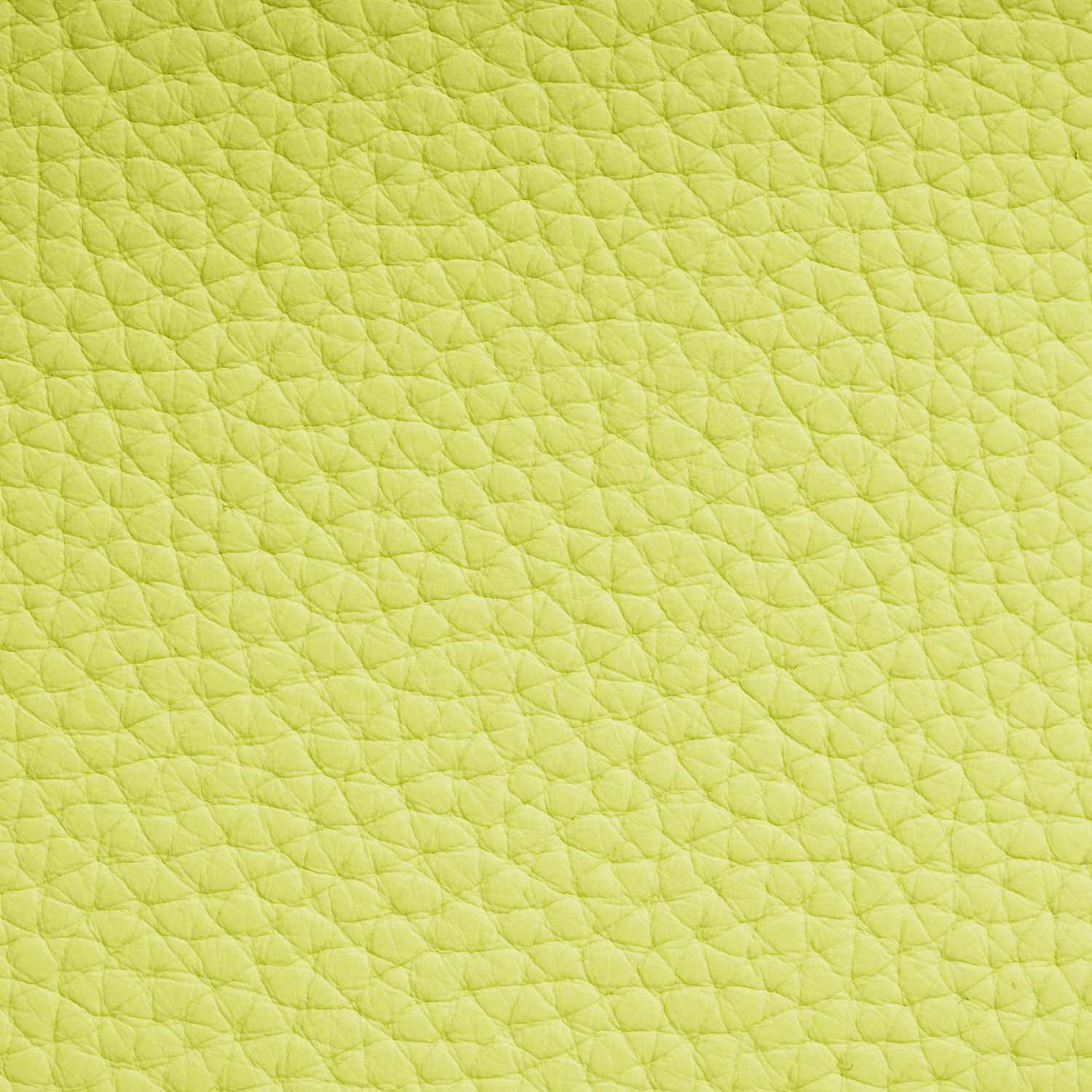 Pittsford Little Tote