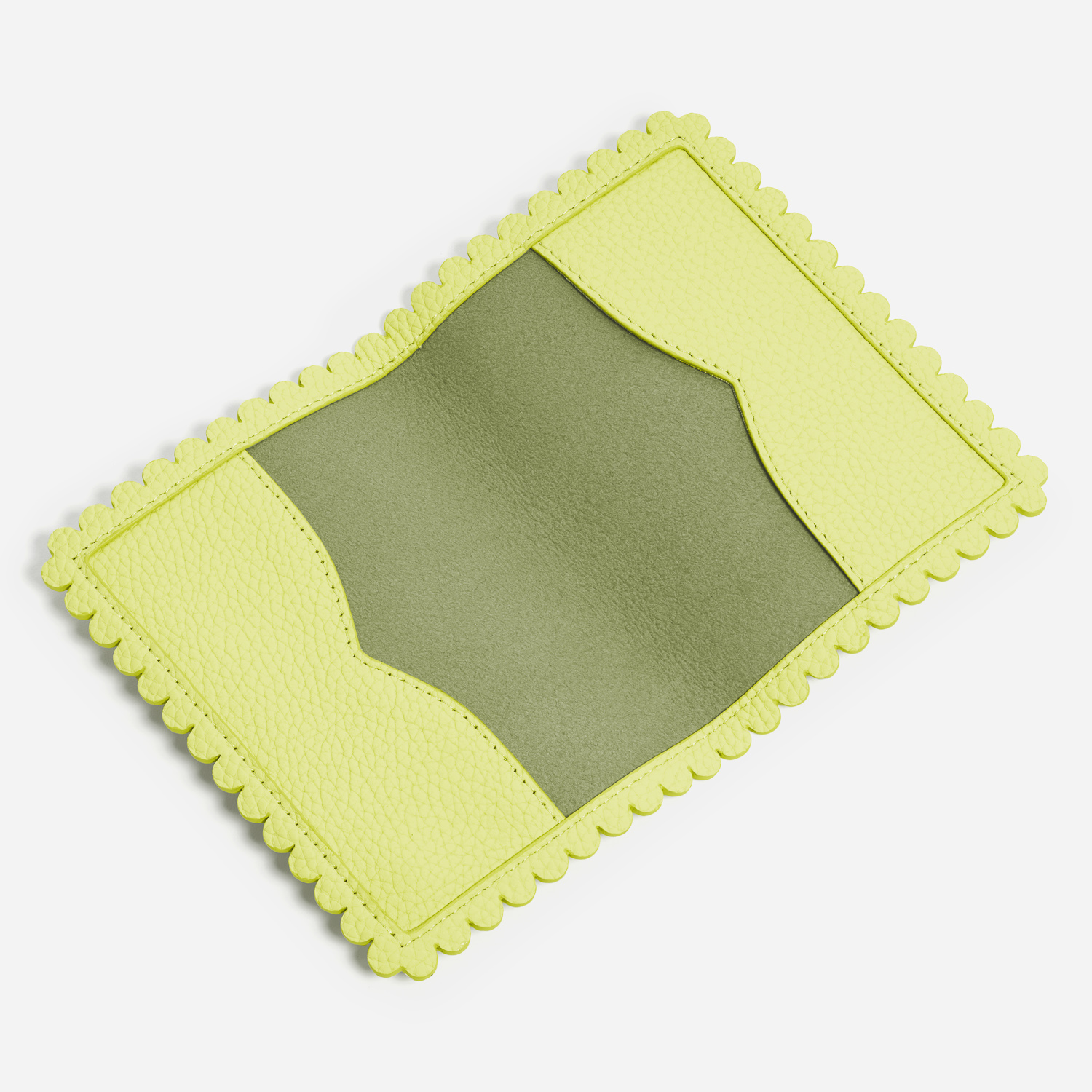 Pittsford Passport Case