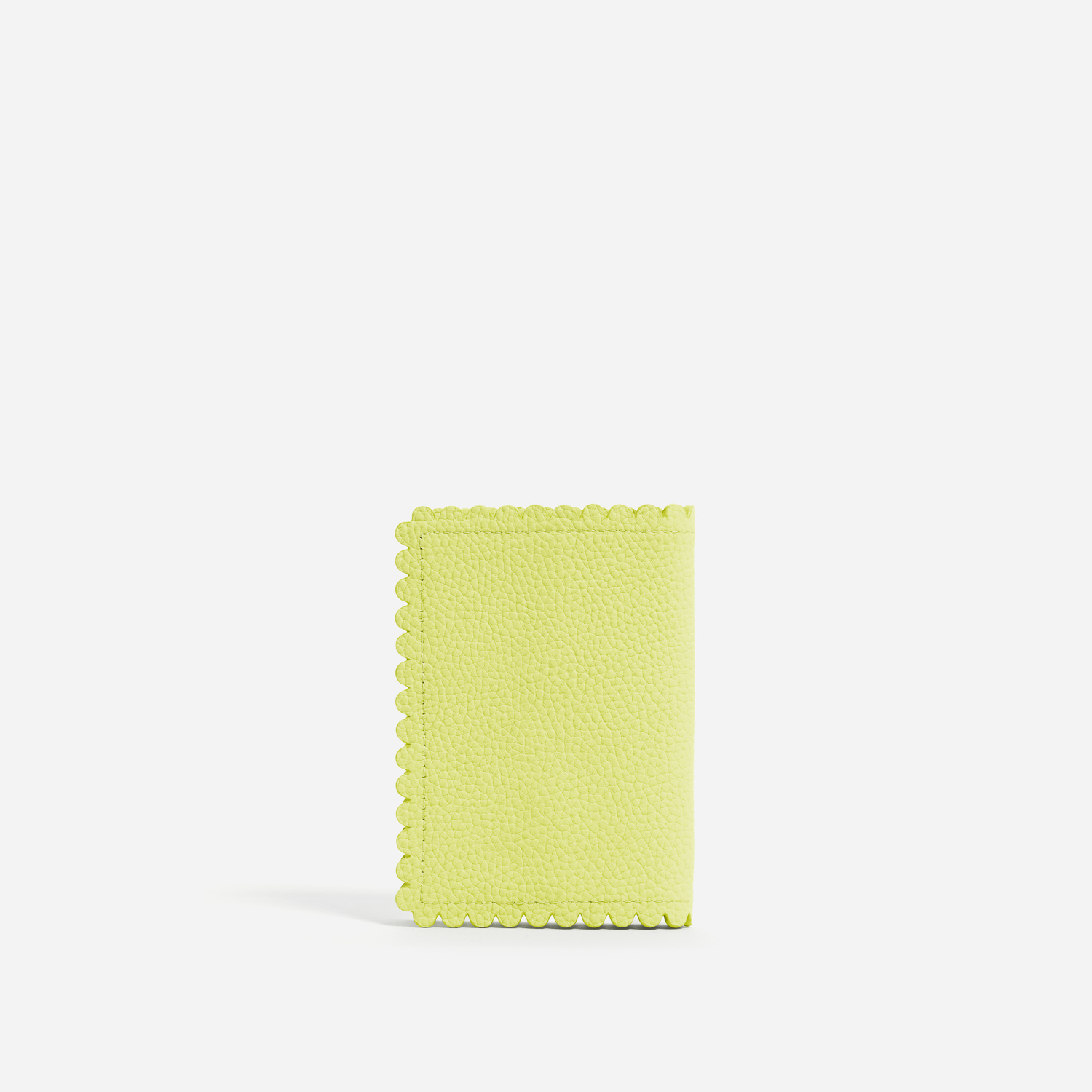 Pittsford Passport Case