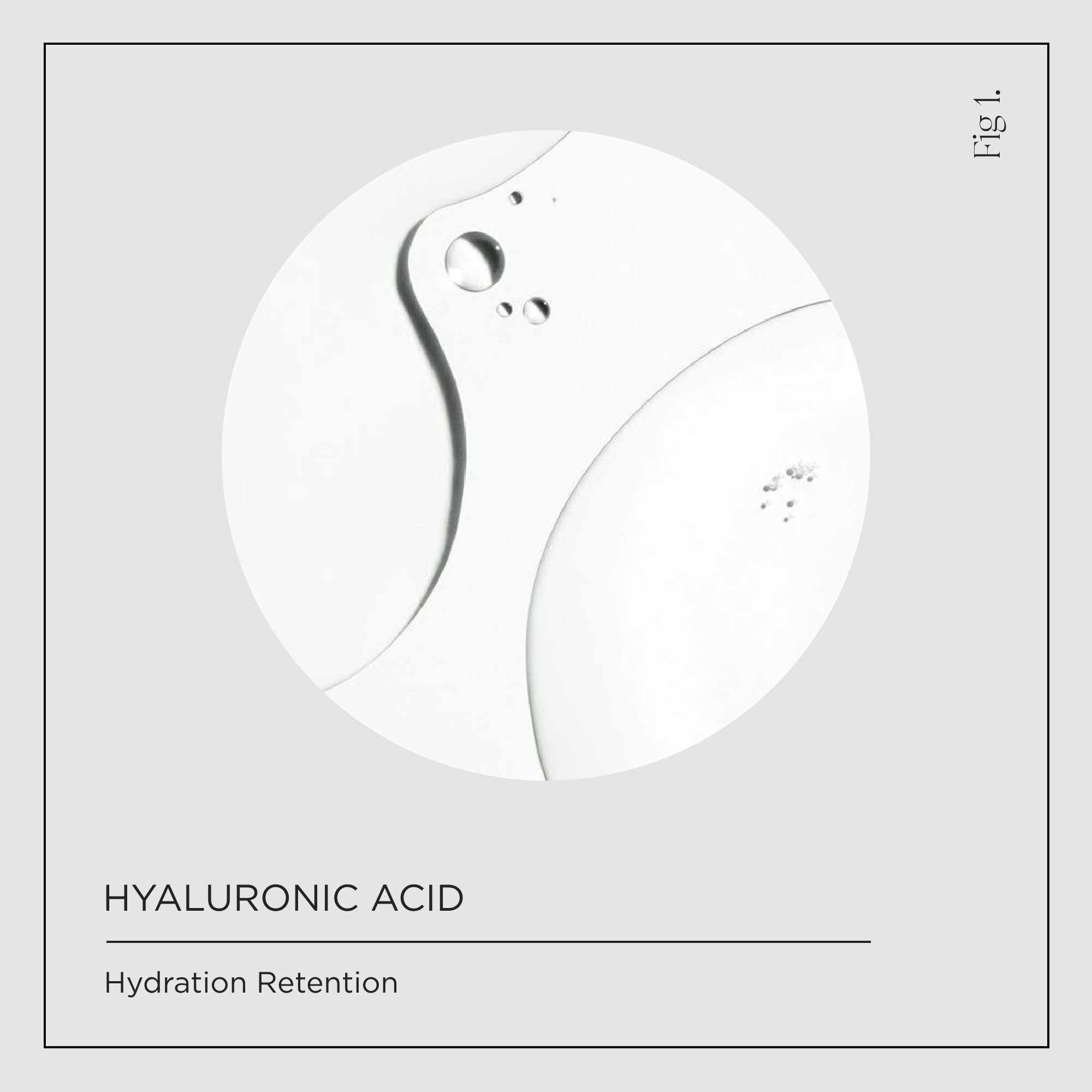 Hyaluronic Acid Ingredients Icon
