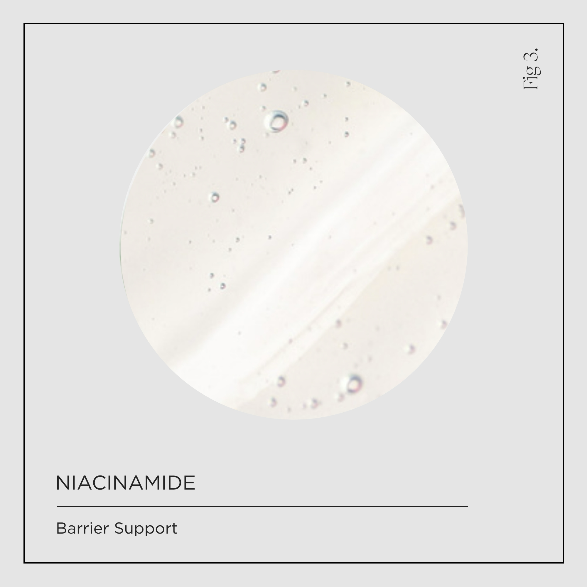 Niacinamide Ingredients Icon