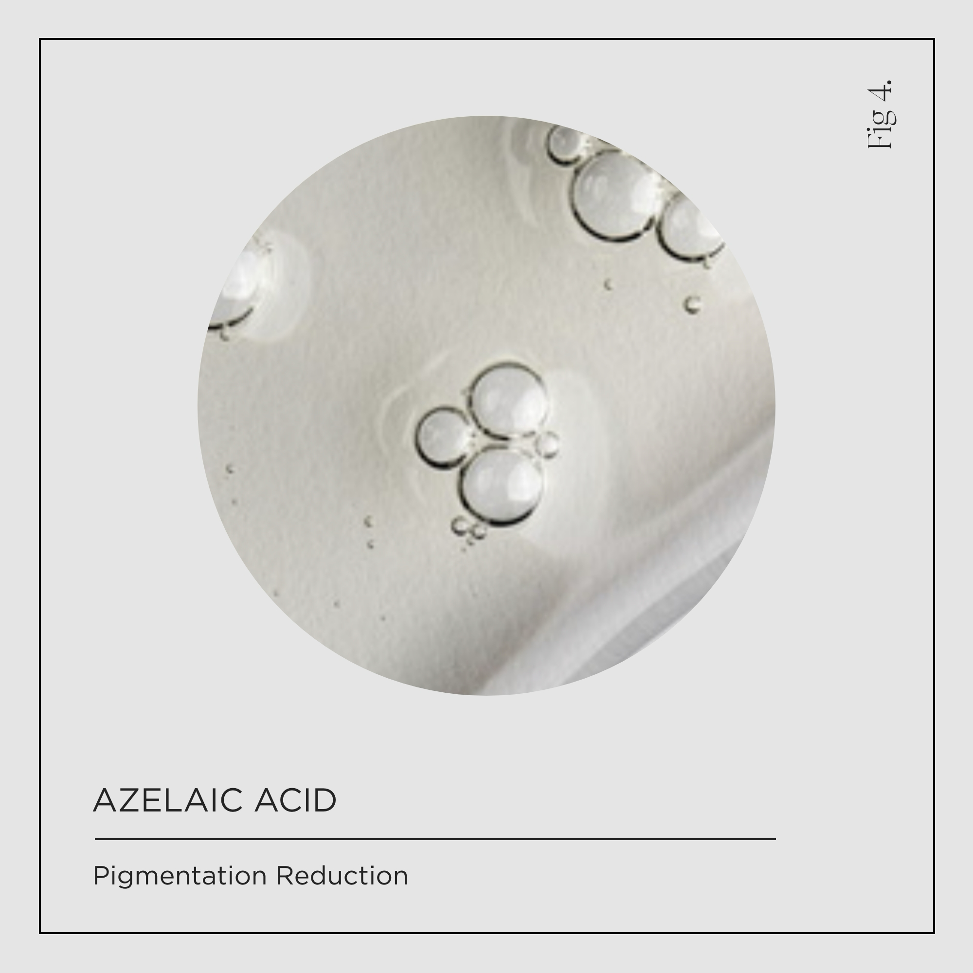 Azelaic Acid Ingredients Icon