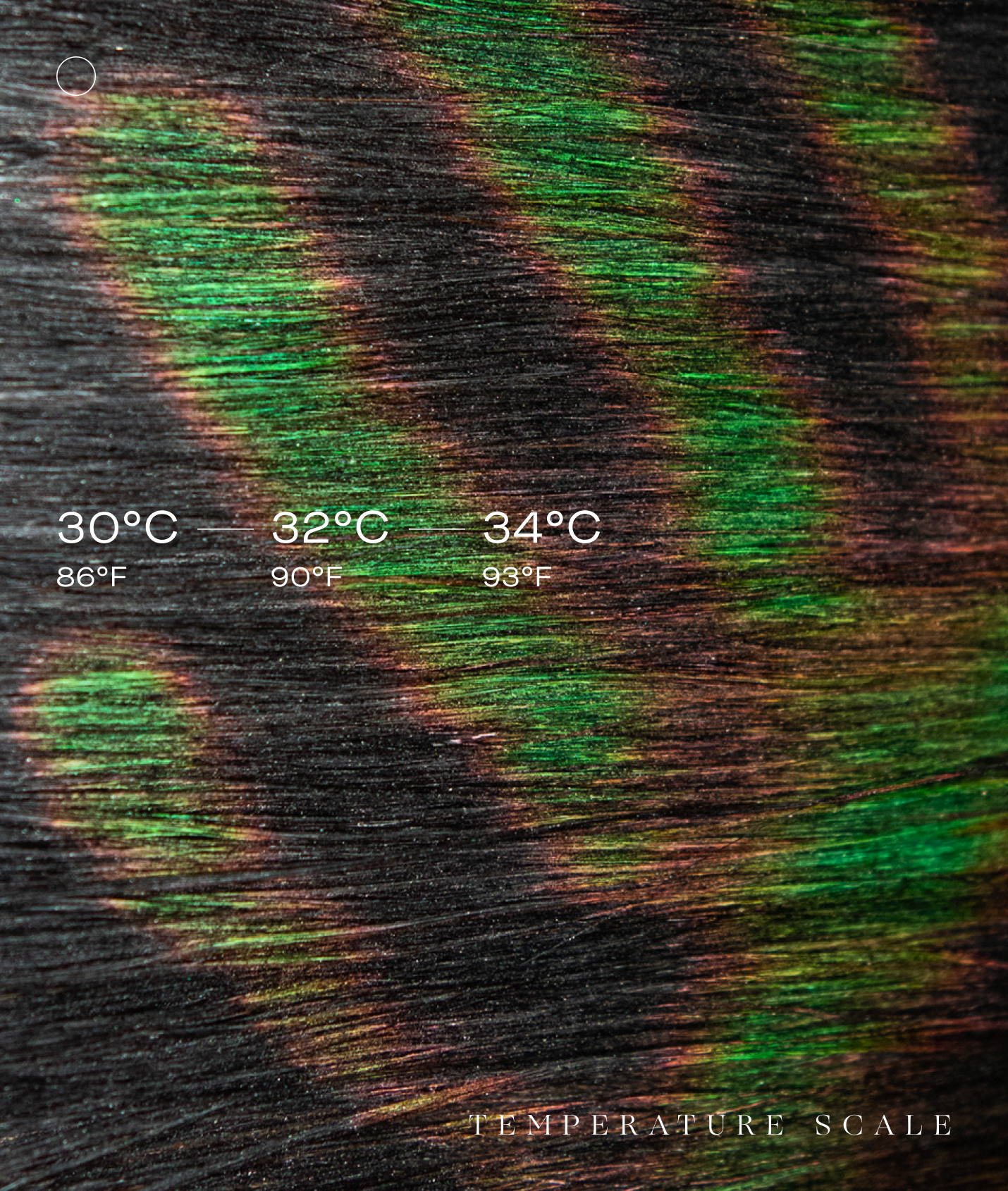 THE UNSEEN BEAUTY COLOUR ALCHEMY HAIR COLOUR - SCARAB - TEMPERATURE SCALE