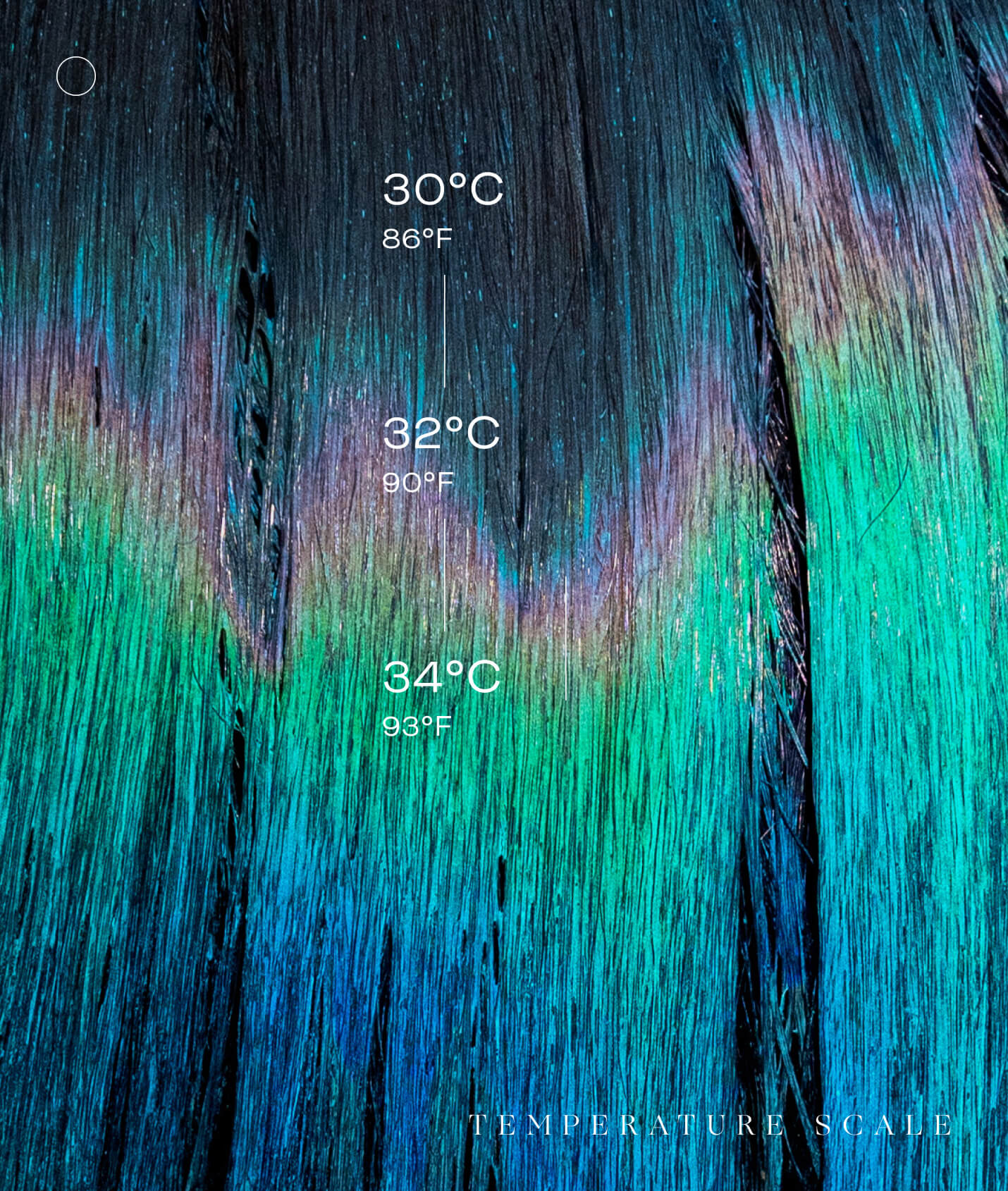 THE UNSEEN BEAUTY COLOUR ALCHEMY HAIR COLOUR - PEACOCK - TEMPERATURE SCALE