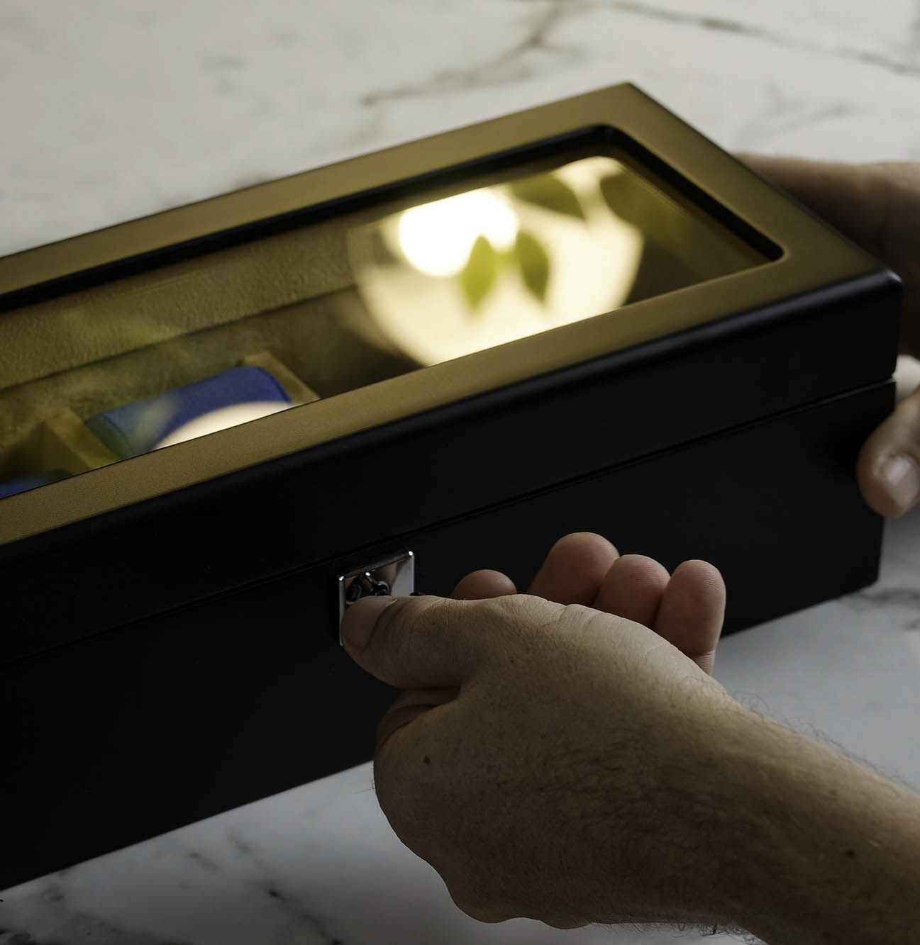 Monte Carlo 5-Slot Collector Box Clear top