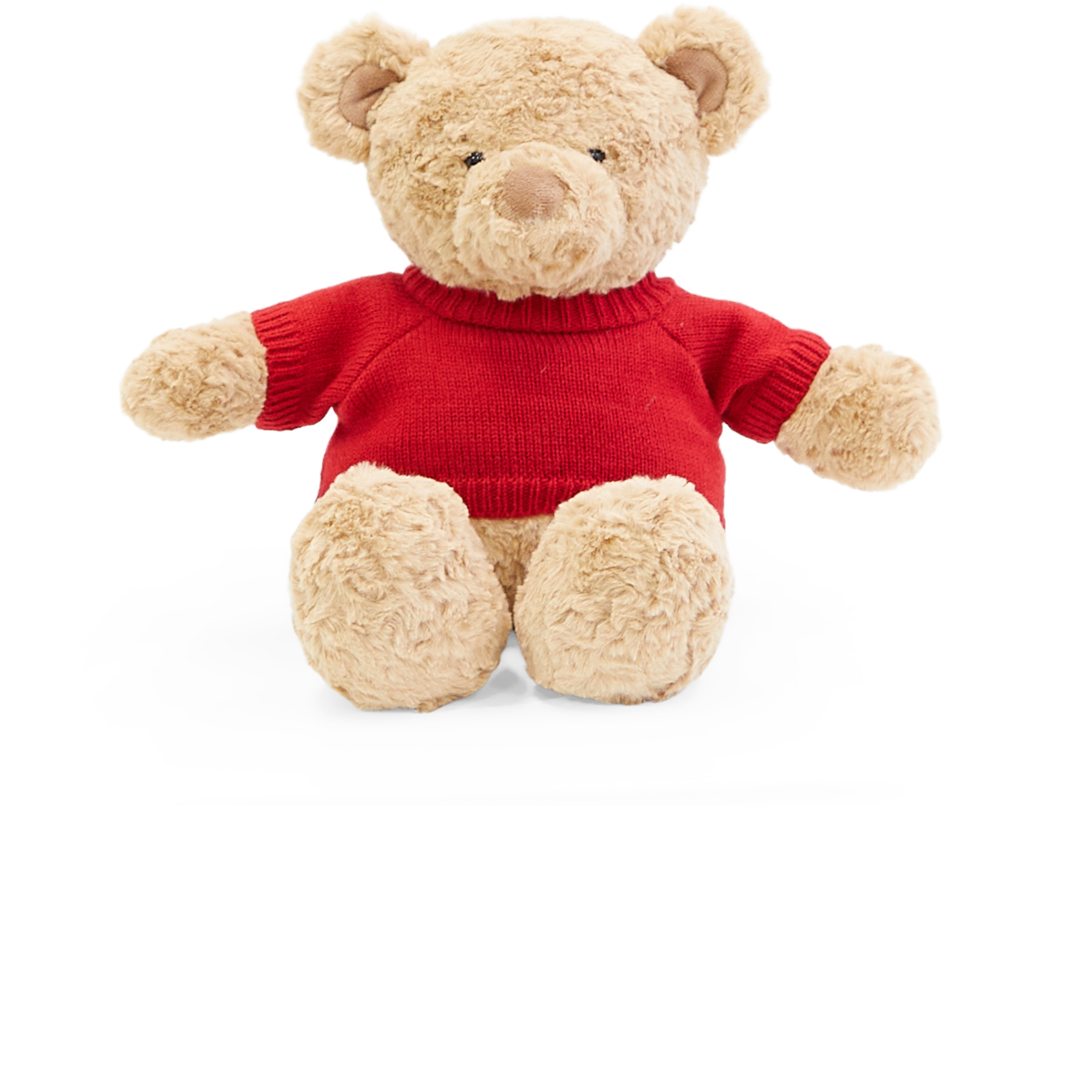 Biscuit the Bear with Sweater