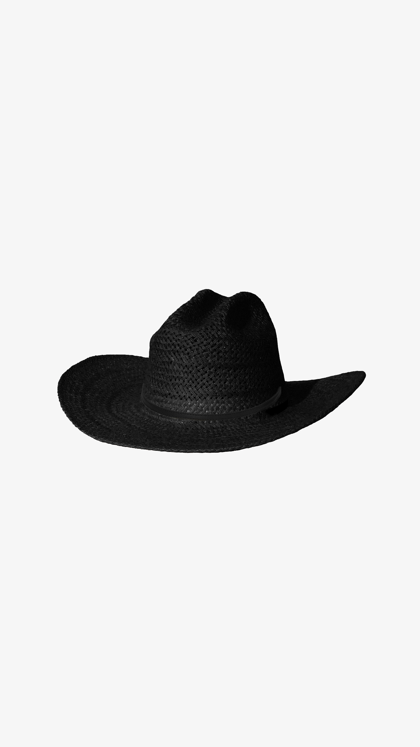 Aiden Hat, Janessa Leoné