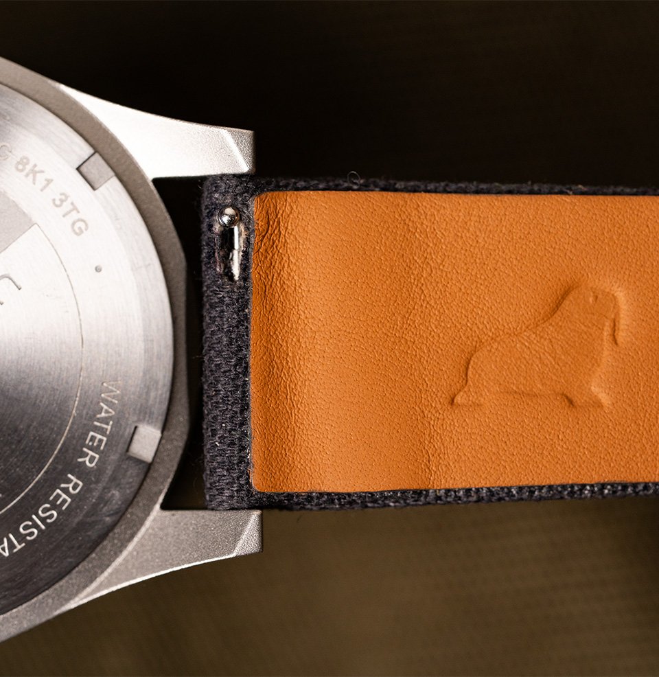 Fine Canvas Strap Quick Release Spring Bars