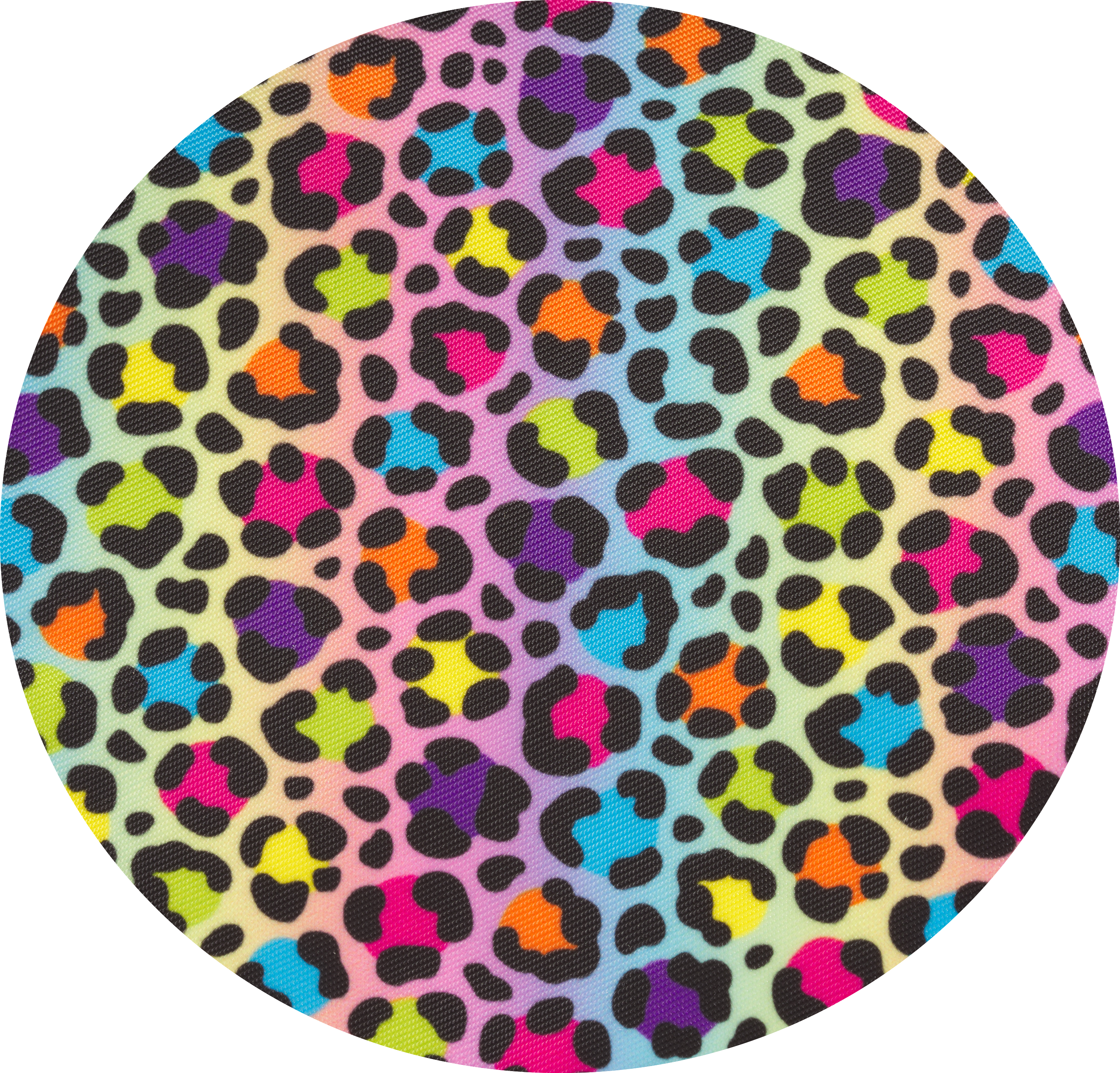 Lisa Frank Rainbow Leopard Print