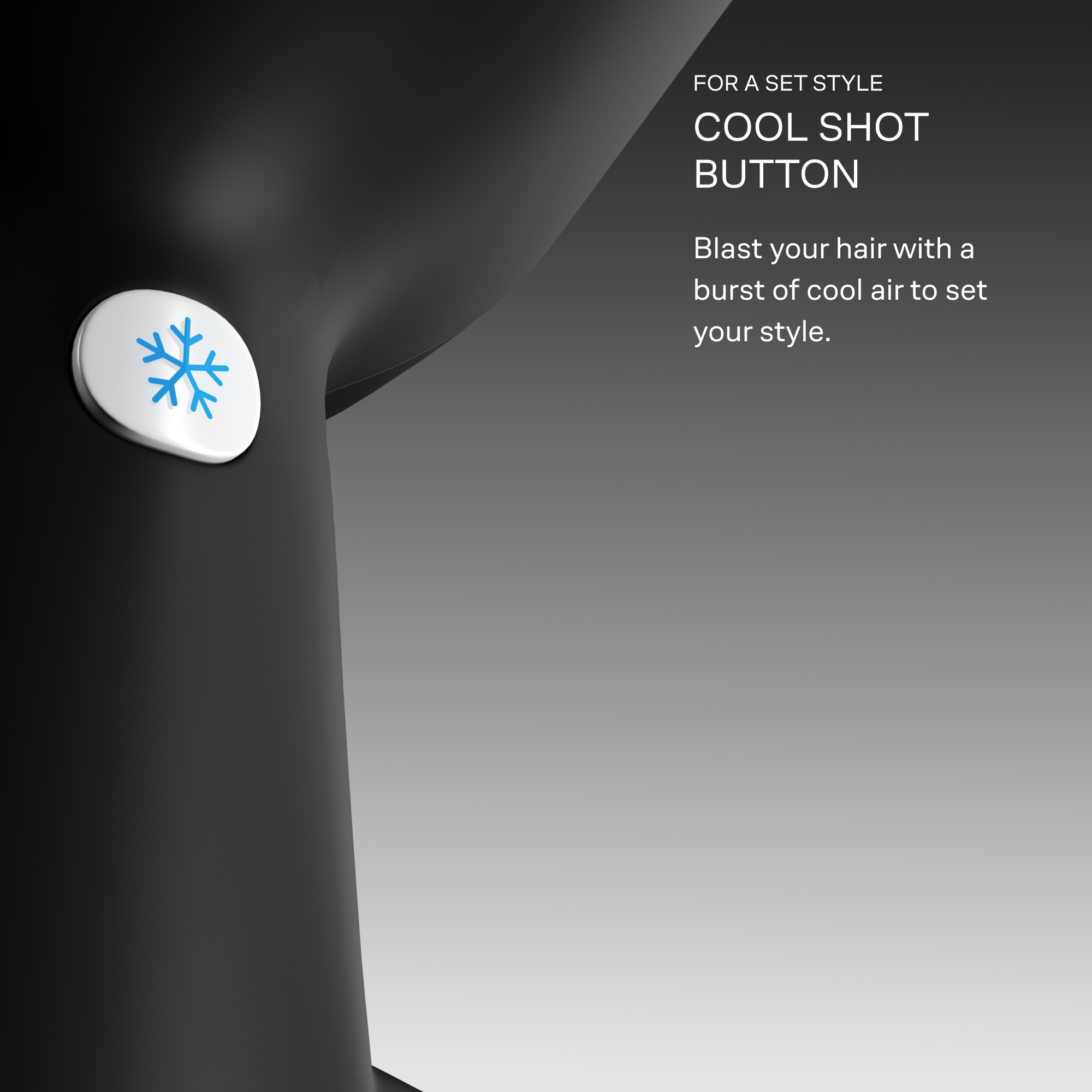 The Airshot