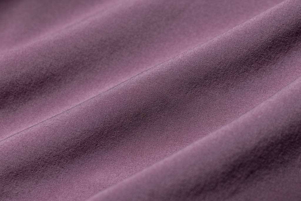 Image ELDERBERRY / S