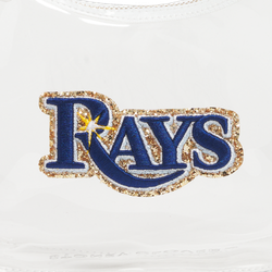 Tampa Bay Rays