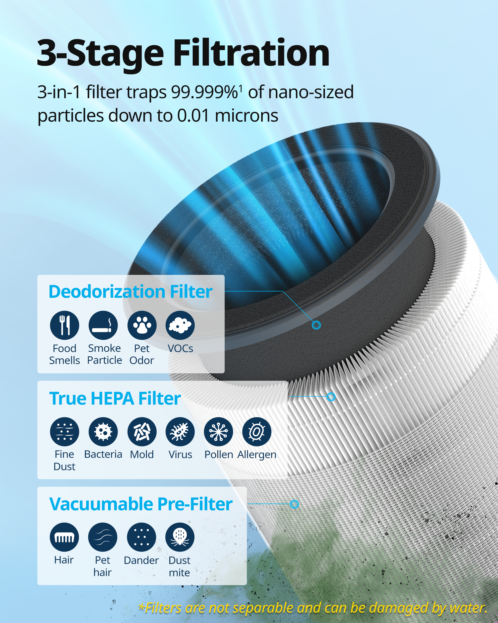 Airmega 100 Filter Description: "3-in-1" Filtration.  Deodorization Filter, True HEPA Filter, and Vacuumable Pre-Filter.