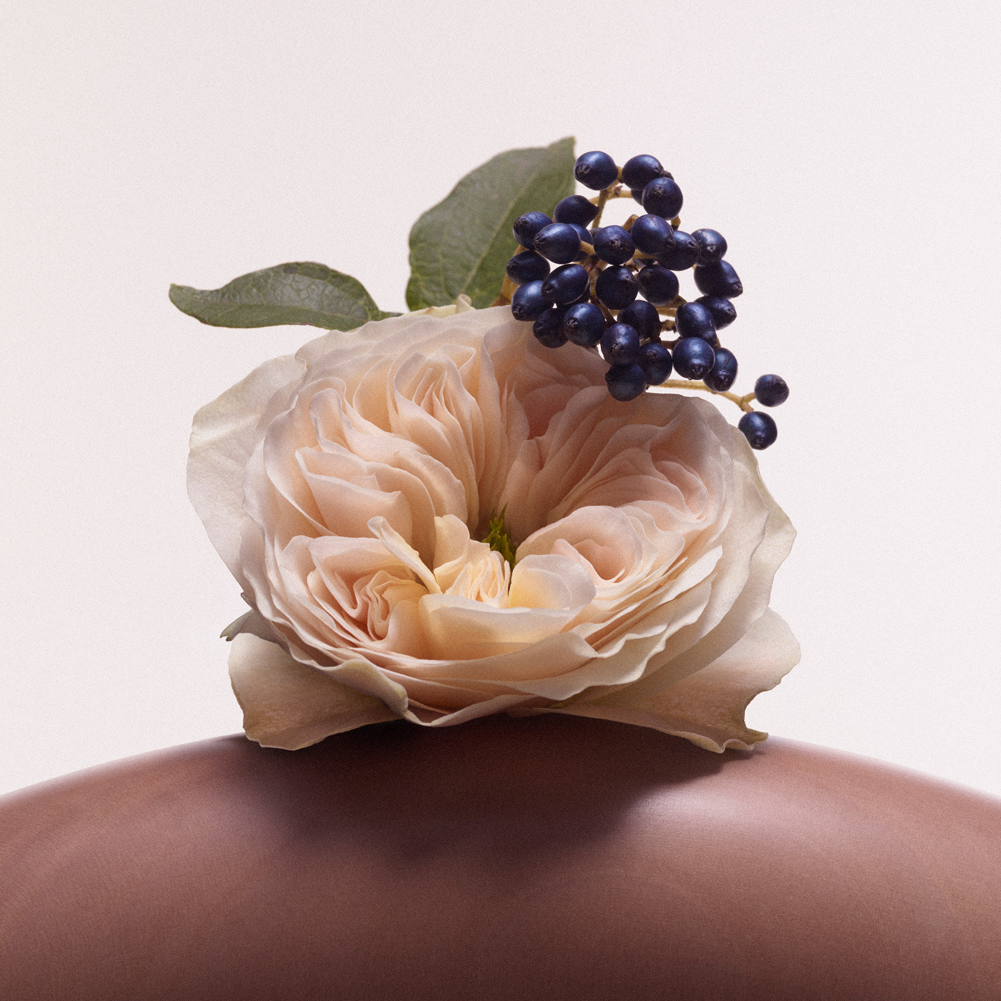 Signature Rose Inc scent: Scientifically designed to increase feelings of happiness, well-being and serenity